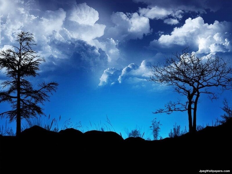 Silhouetted Trees at Dusk — Blue, Dramatic, Night