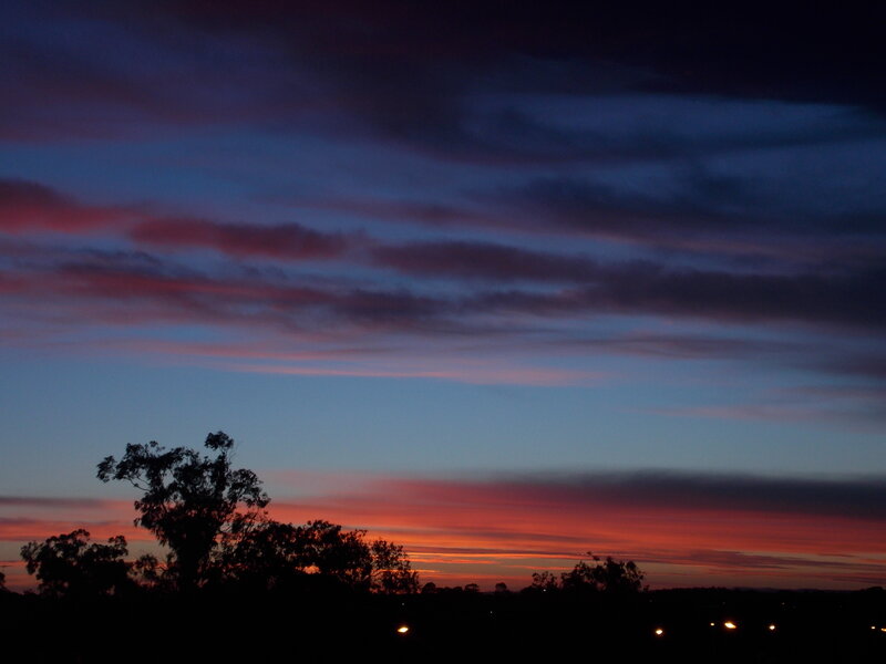 Silhouetted Trees at Dusk — Blue, Dramatic, Sunset, Photograph, Sky, Clouds