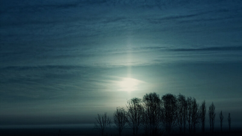 Silhouetted Trees at Dusk — Blue, Dramatic, Sunset, Photograph, Sky, Sun