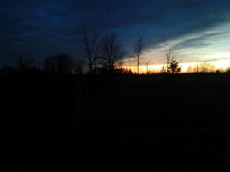 Silhouetted Trees at Dusk — Blue, Dramatic, Sunset, Photograph, Sky, Wind Turbine