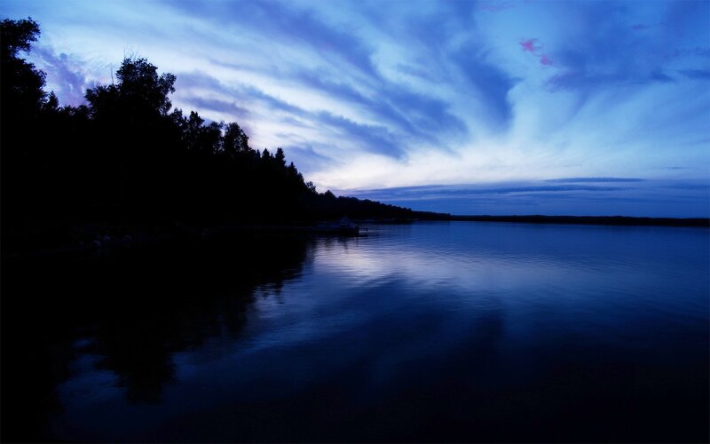 Silhouetted Trees at Dusk — Blue, Serene, Night, Photograph