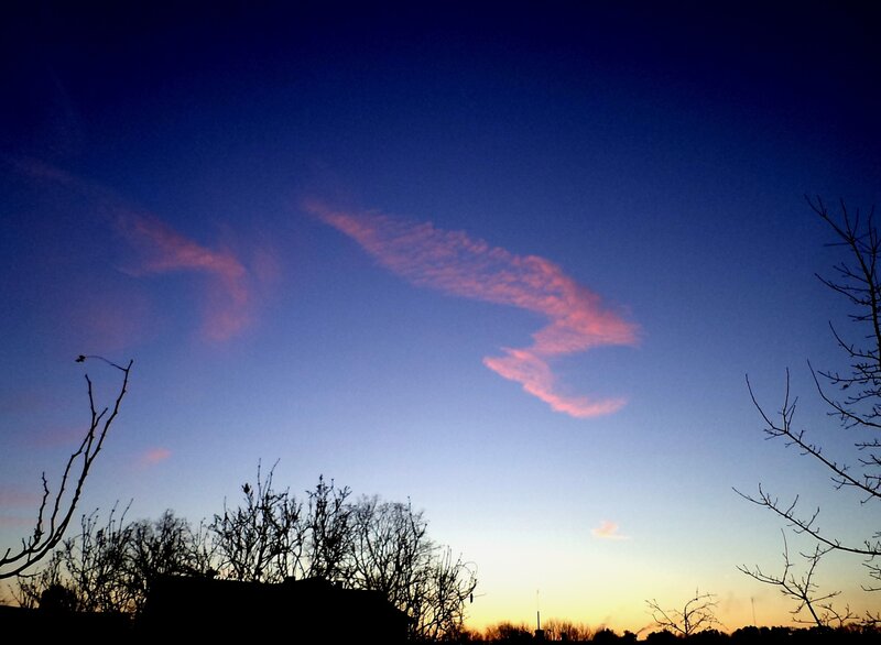 Silhouetted Trees at Dusk — Blue, Serene, Sunset, Photograph, Clouds, Sky
