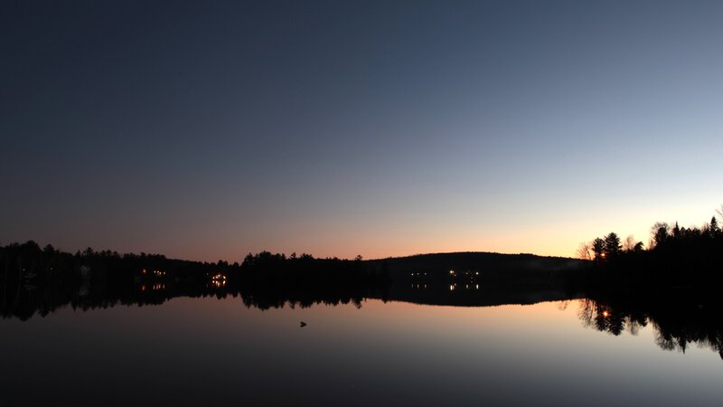 Silhouetted Trees at Dusk — Blue, Serene, Sunset, Photograph, Lake, Sky, Lights