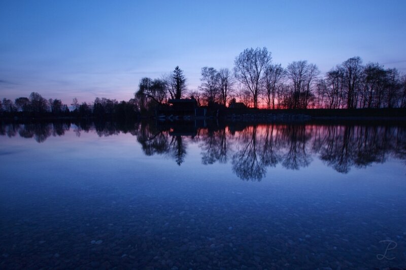 Silhouetted Trees at Dusk — Blue, Serene, Sunset, Photograph, Lake, Sky