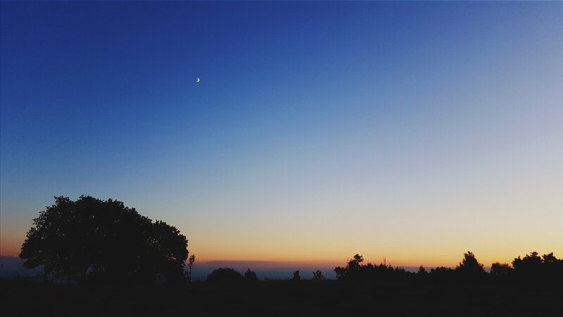 Silhouetted Trees at Dusk — Blue, Serene, Sunset, Photograph, Moon