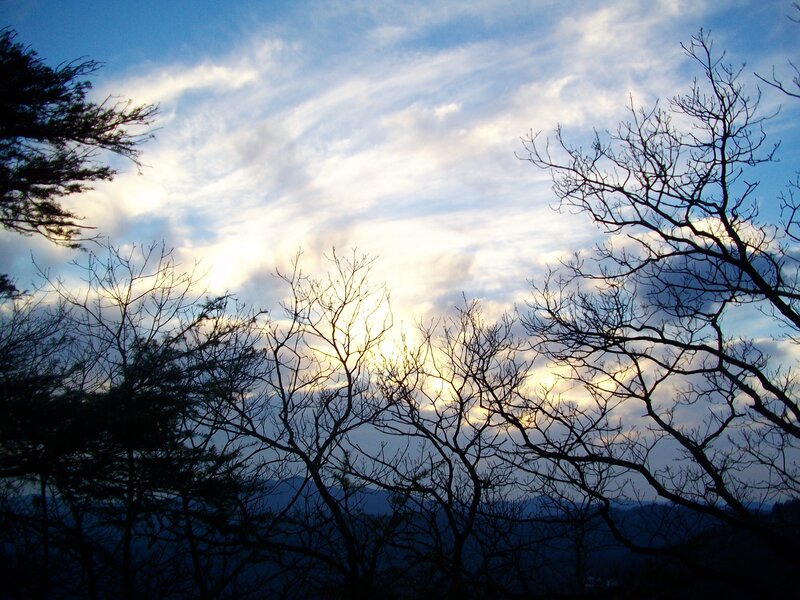 Silhouetted Trees at Dusk — Blue, Serene, Sunset, Photograph, Sky, Clouds, Mountains