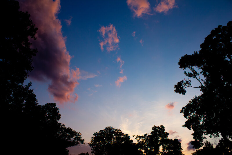 Silhouetted Trees at Dusk — Blue, Serene, Sunset, Photograph, Sky, Clouds, Purple