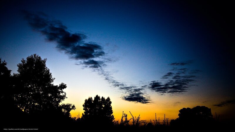 Silhouetted Trees at Dusk — Blue, Serene, Sunset, Photograph, Sky, Clouds