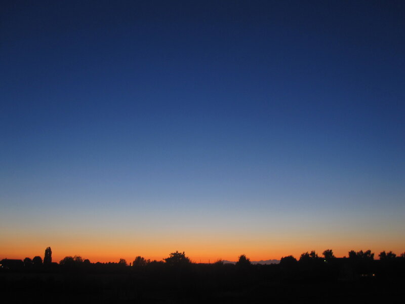 Silhouetted Trees at Dusk — Blue, Serene, Sunset, Photograph, Sky, Horizon