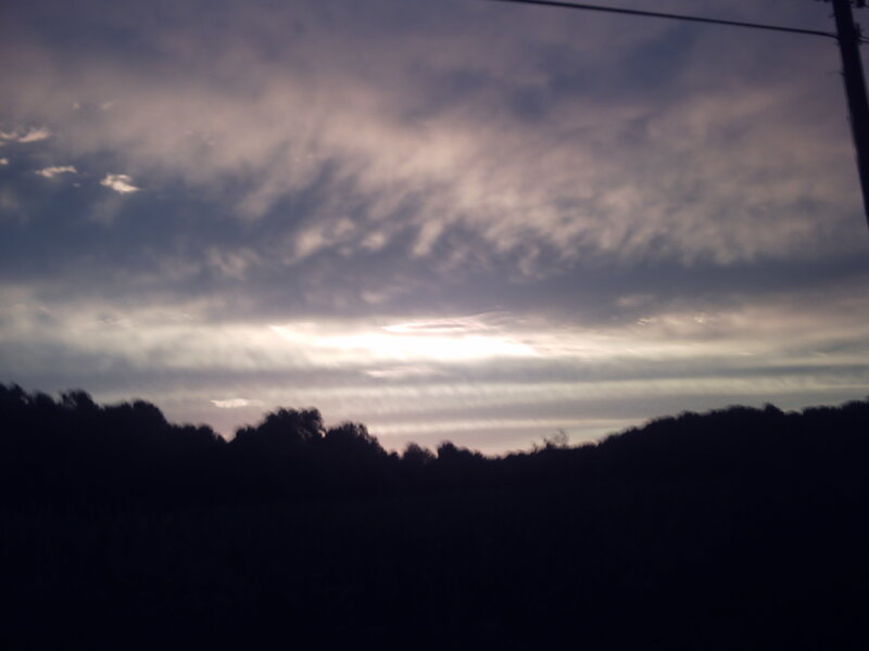 Silhouetted Trees at Dusk — Gray, Dramatic, Sunset, Photograph, Clouds
