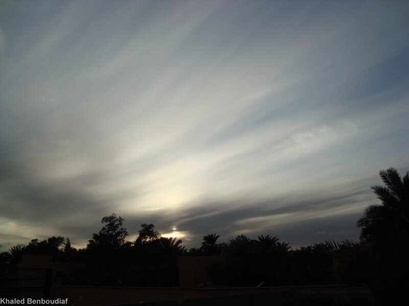 Silhouetted Trees at Dusk — Gray, Dramatic, Sunset, Photograph