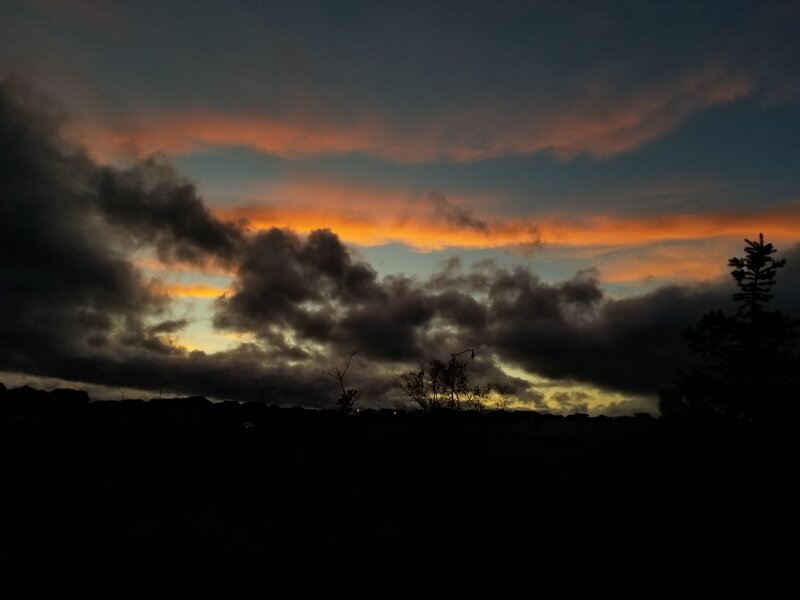 Silhouetted Trees at Dusk — Orange, Dramatic, Sunset, Photograph, Clouds