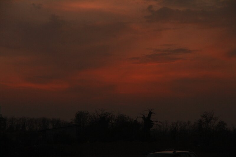 Silhouetted Trees at Dusk — Orange, Dramatic, Sunset, Photograph, Sky, Car
