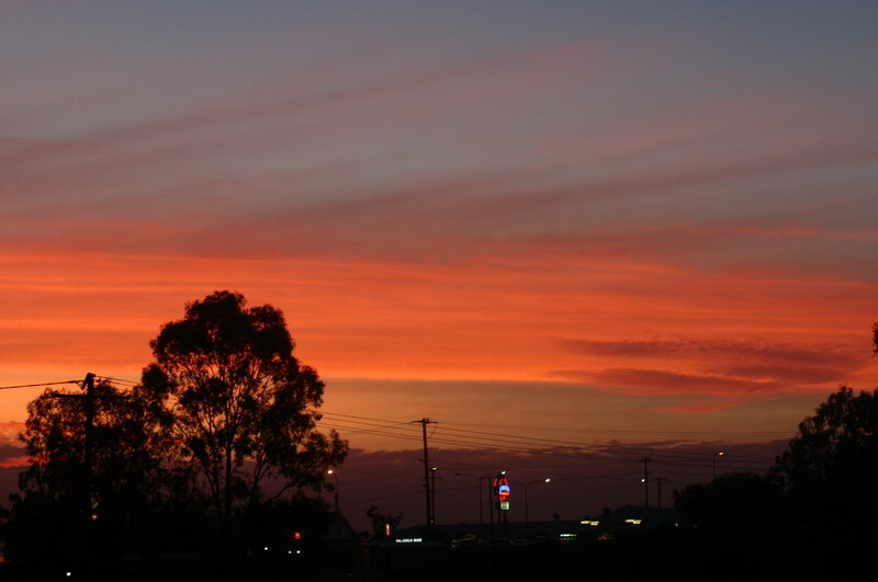 Silhouetted Trees at Dusk — Orange, Dramatic