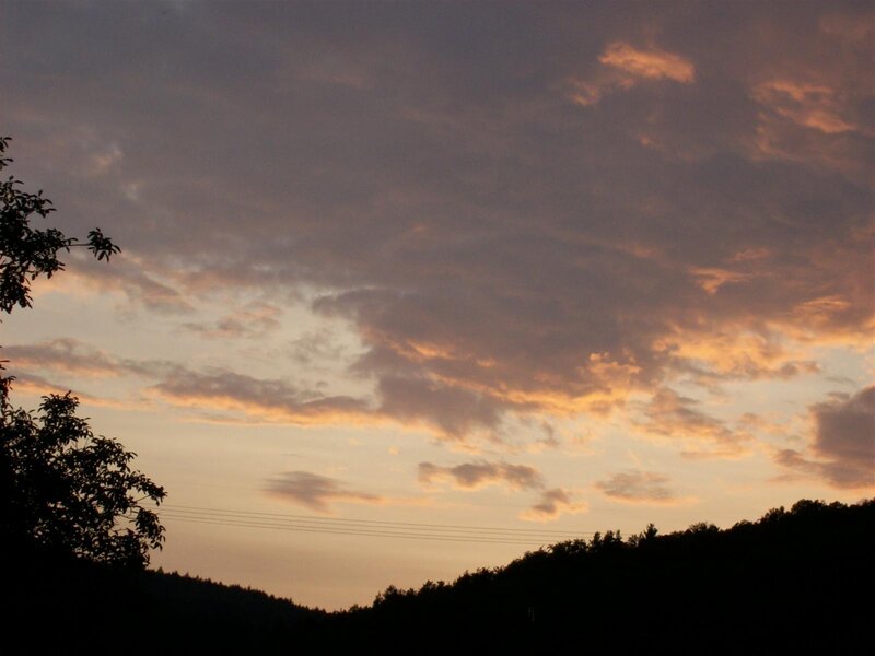 Silhouetted Trees at Dusk — Orange, Serene, Sunset