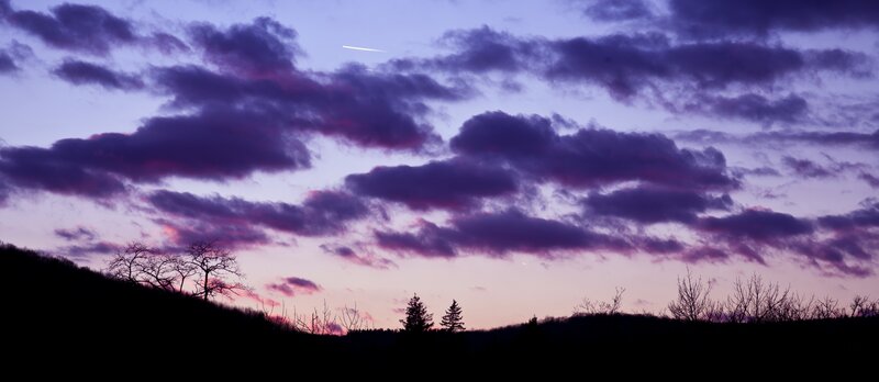Silhouetted Trees at Dusk — Purple, Dramatic, Sunset, Photograph, Clouds, Sky, Hill