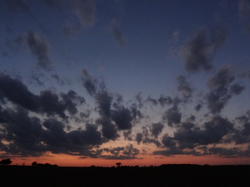 Silhouetted Trees at Dusk — Purple, Dramatic, Sunset, Photograph, Clouds