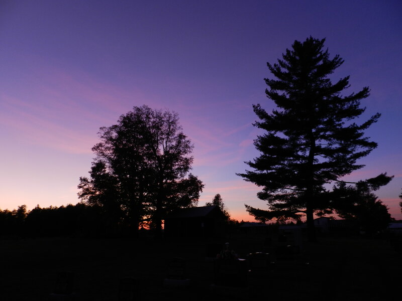 Silhouetted Trees at Dusk — Purple, Serene, Sunset, Photograph, Sky, Building