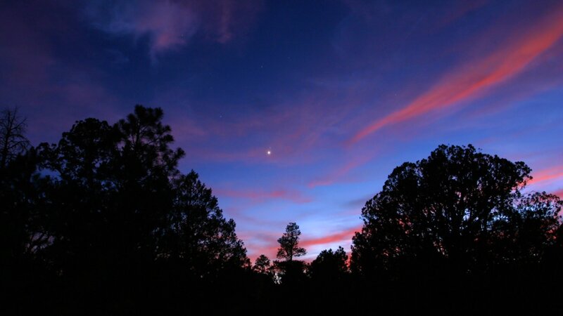 Silhouetted Trees at Dusk — Purple, Serene, Sunset, Photograph, Sky, Clouds, Stars