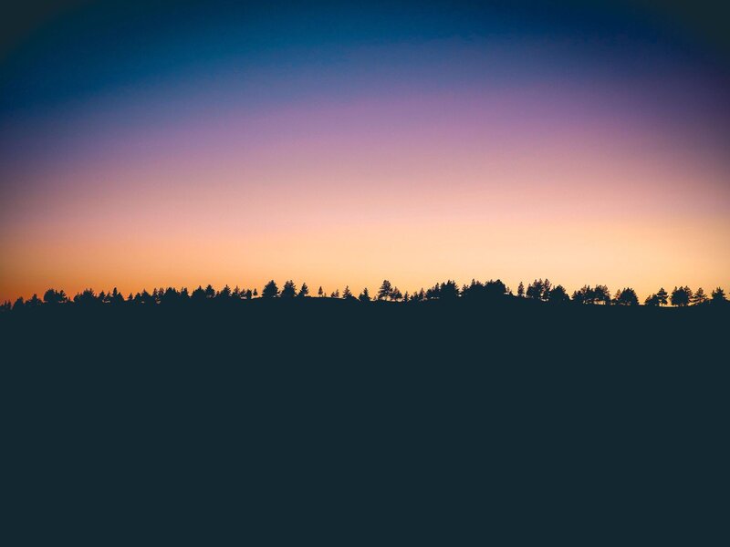 Silhouetted Trees at Dusk — Purple, Serene, Sunset, Photograph, Sky, Horizon