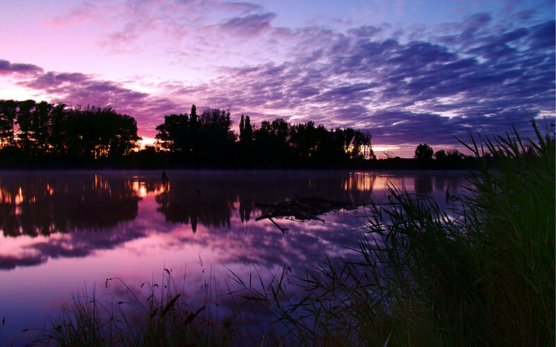 Silhouetted Trees at Dusk — Purple, Serene, Sunset, Photograph, Sky, Water