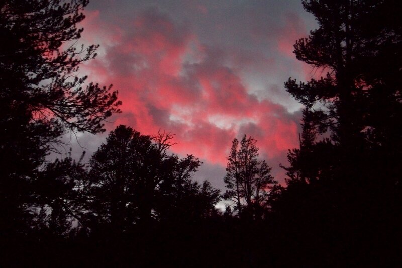 Silhouetted Trees at Dusk — Red, Dramatic, Sunset, Photograph, Sky, Clouds