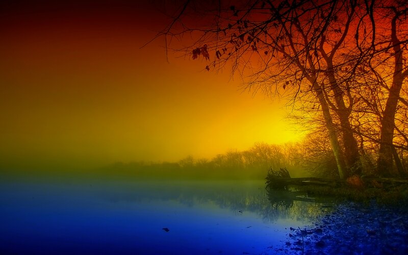 Silhouetted Trees at Lake — Blue, Dramatic