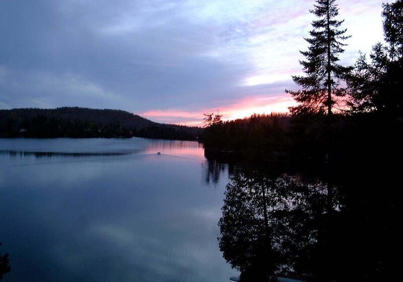 Silhouetted Trees at Lake — Blue, Serene, Sunset, Photograph, Sky, Purple