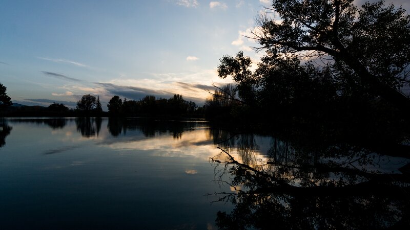 Silhouetted Trees at Lake — Blue, Serene, Sunset, Photograph