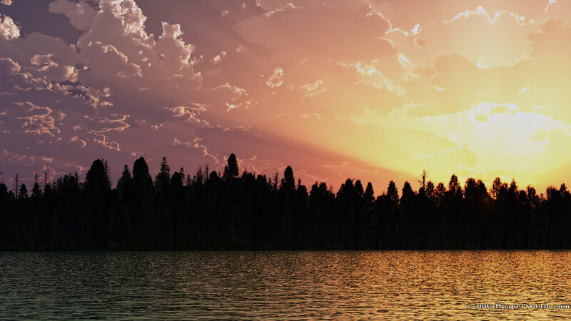 Silhouetted Trees at Lake — Orange, Dramatic