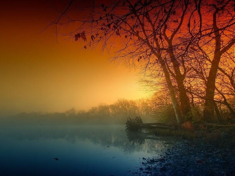 Silhouetted Trees at Lake — Orange, Serene, Sunset, Photograph
