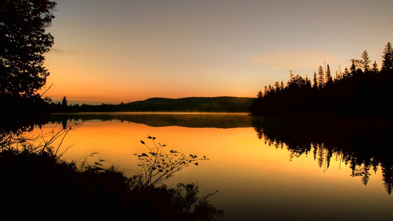 Silhouetted Trees at Lake — Orange, Serene