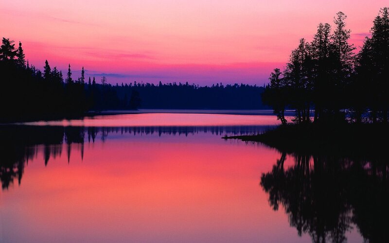 Silhouetted Trees at Lake — Pink, Serene, Sunset, Photograph, Sky, Purple