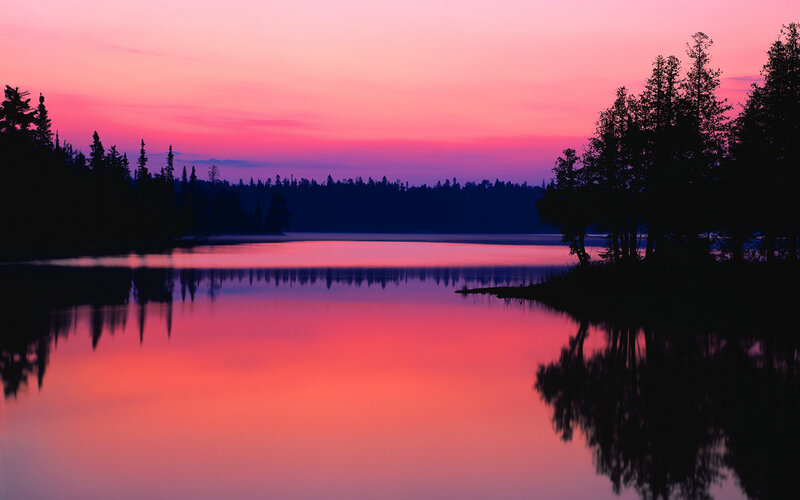 Silhouetted Trees at Lake — Pink