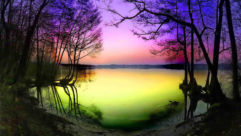 Silhouetted Trees at Lake — Purple, Dramatic