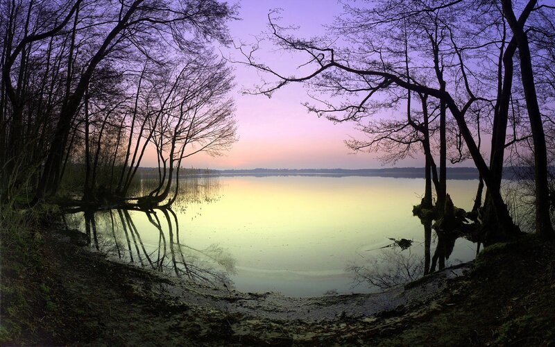 Silhouetted Trees at Lake — Purple, Serene, Sunset, Photograph, Sky