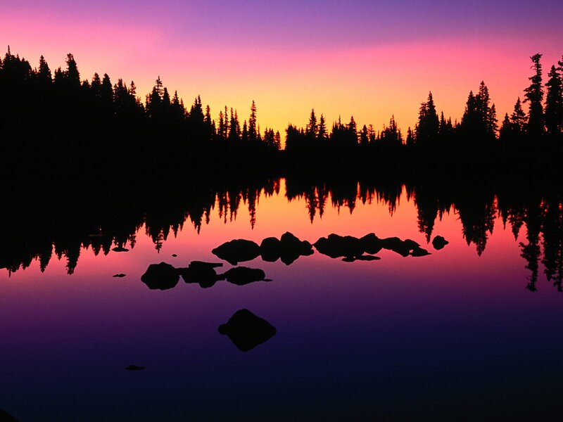 Silhouetted Trees at Lake — Purple, Serene, Sunset