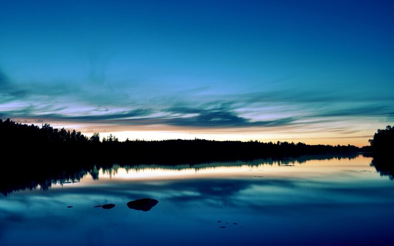Silhouetted Trees at Lake