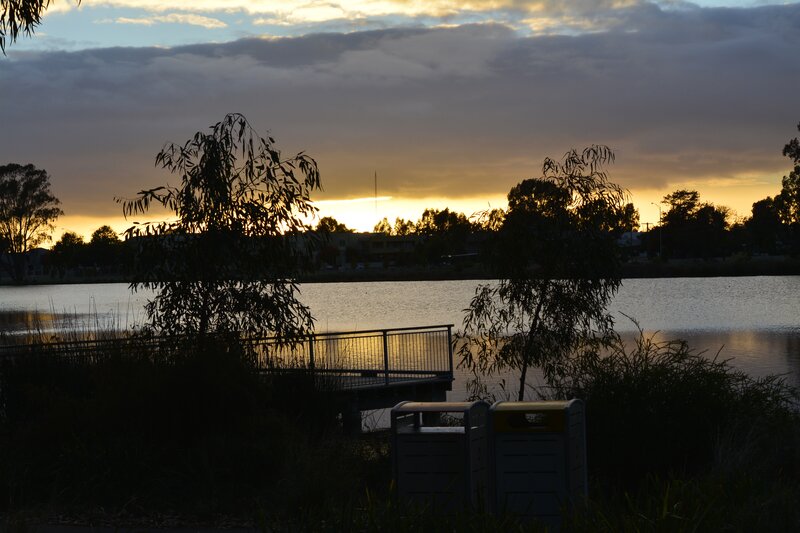 Silhouetted Trees at Lake — Yellow