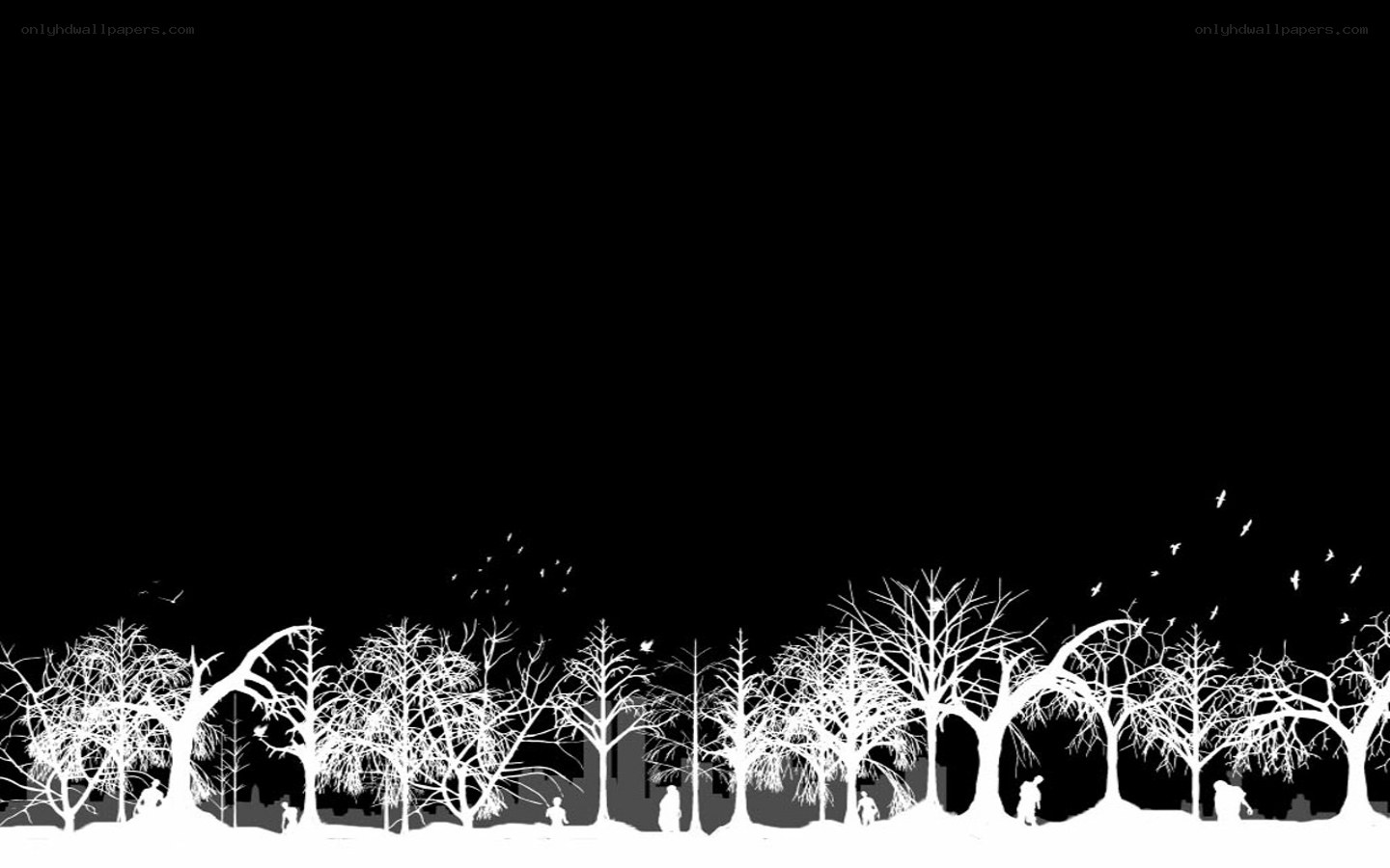 Silhouetted trees at night