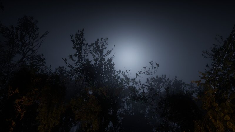 Silhouetted Trees at Night — Black, Dark, 3d Render