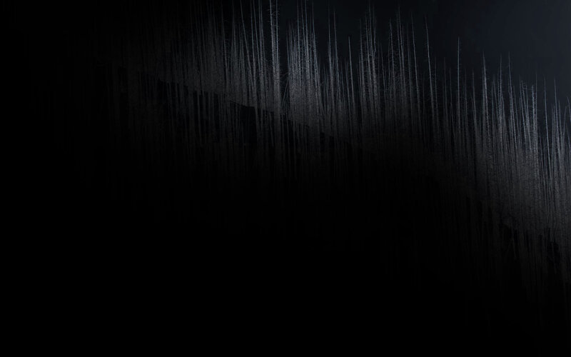 Silhouetted Trees at Night — Black, Dark, Photograph