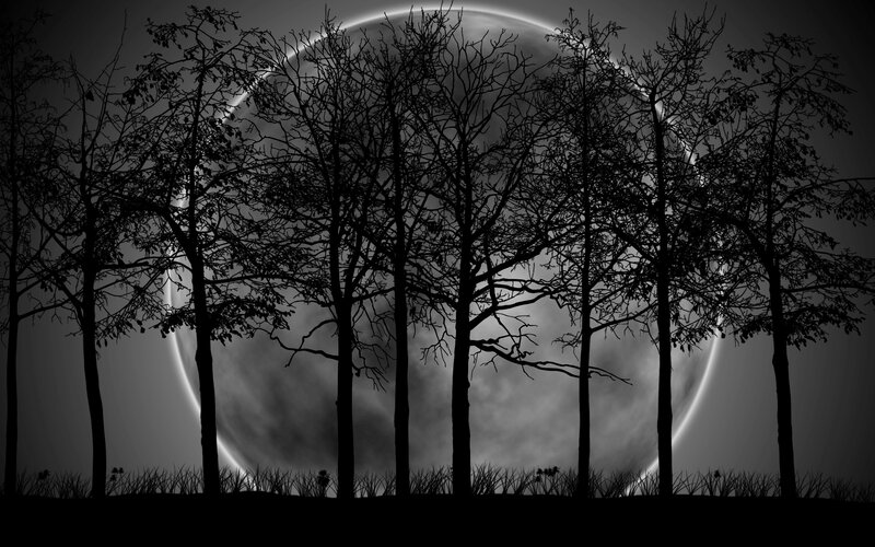Silhouetted Trees at Night — Black, Dramatic, Digital Art, Moon, Sky, Grass