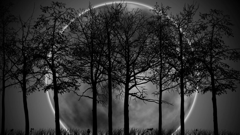 Silhouetted Trees at Night — Black, Dramatic, Digital Art, Moon, Sky