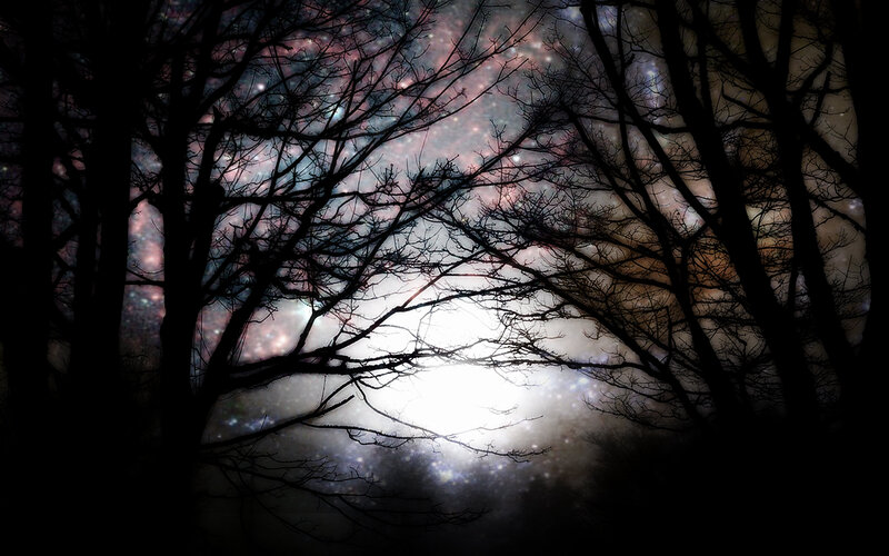 Silhouetted Trees at Night — Black, Dramatic, Digital Art, Stars