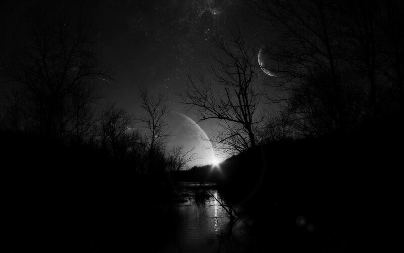 Silhouetted Trees at Night — Black, Dramatic, Digital Art