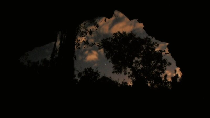 Silhouetted Trees at Night — Black, Dramatic, Photograph
