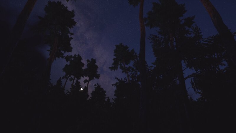 Silhouetted Trees at Night — Black, Serene, 3d Render