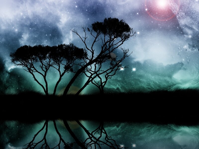 Silhouetted Trees at Night — Black, Serene, Digital Art, Stars, Clouds