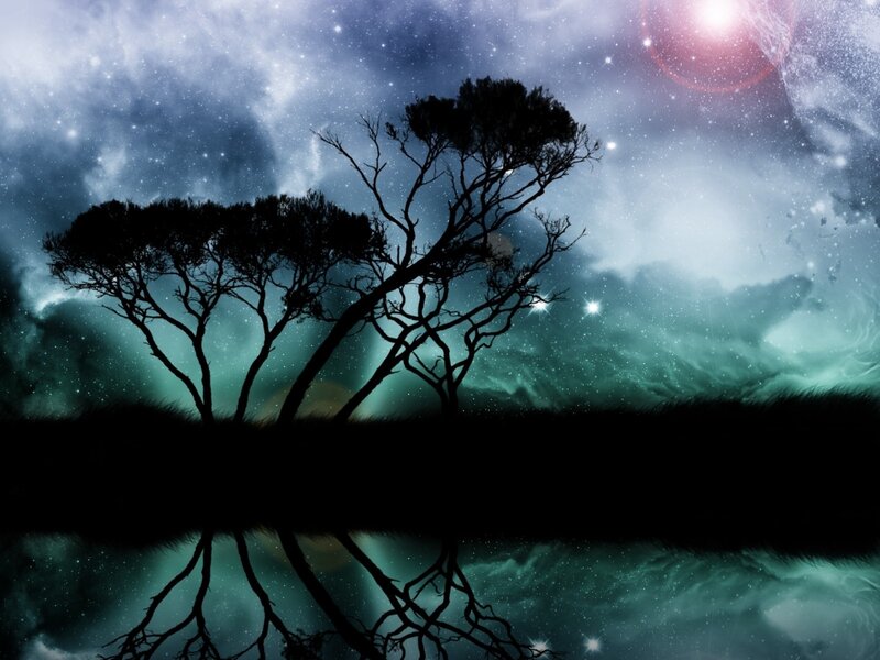 Silhouetted Trees at Night — Black, Serene, Digital Art, Stars, Reflection